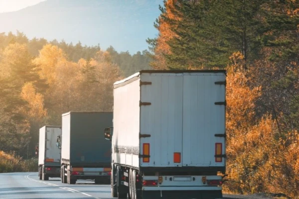 Rize Amasya Nakliyat